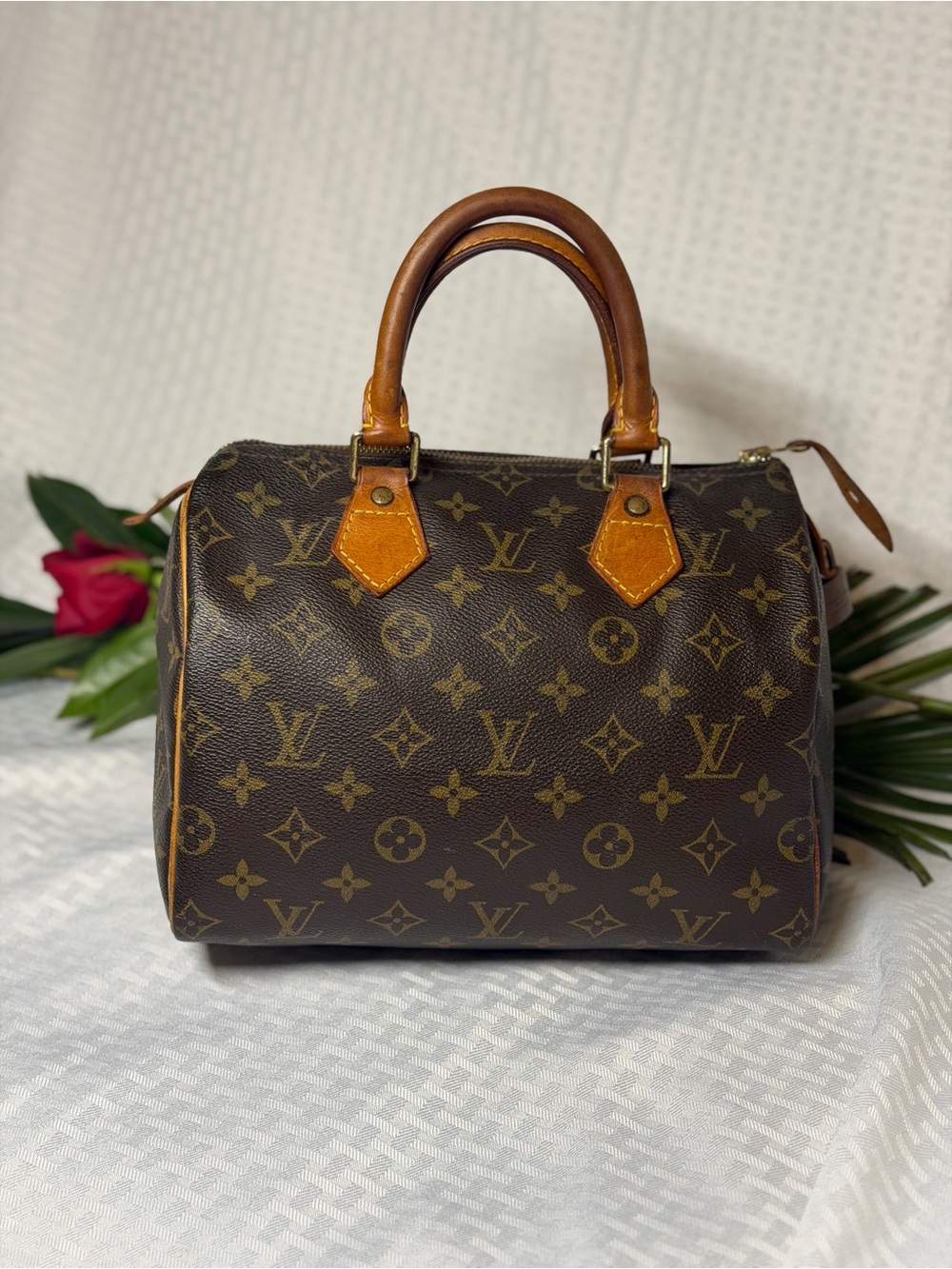 Louis Vuitton Speedy 25 Monogram Canvas Satchel